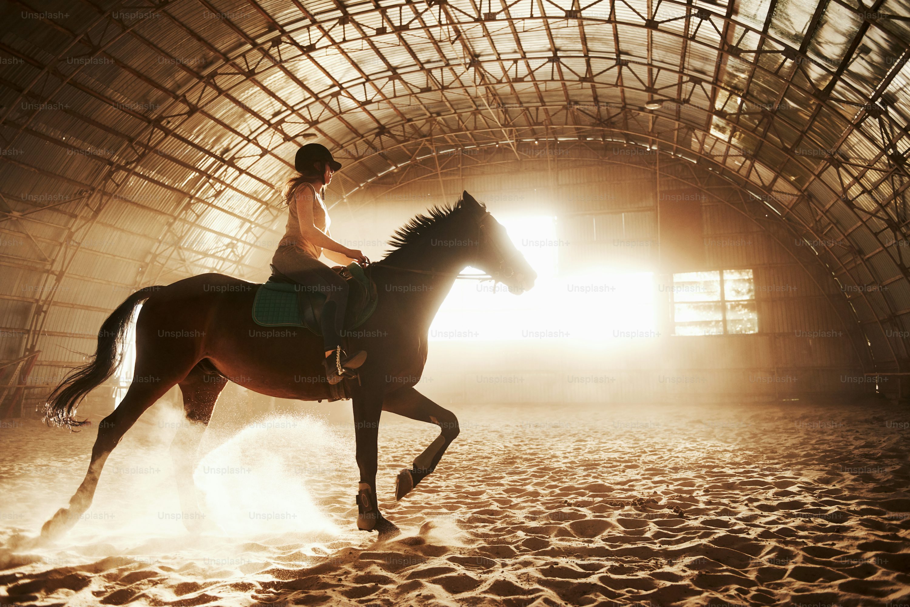 Horse Riding Arena Footing real arena context