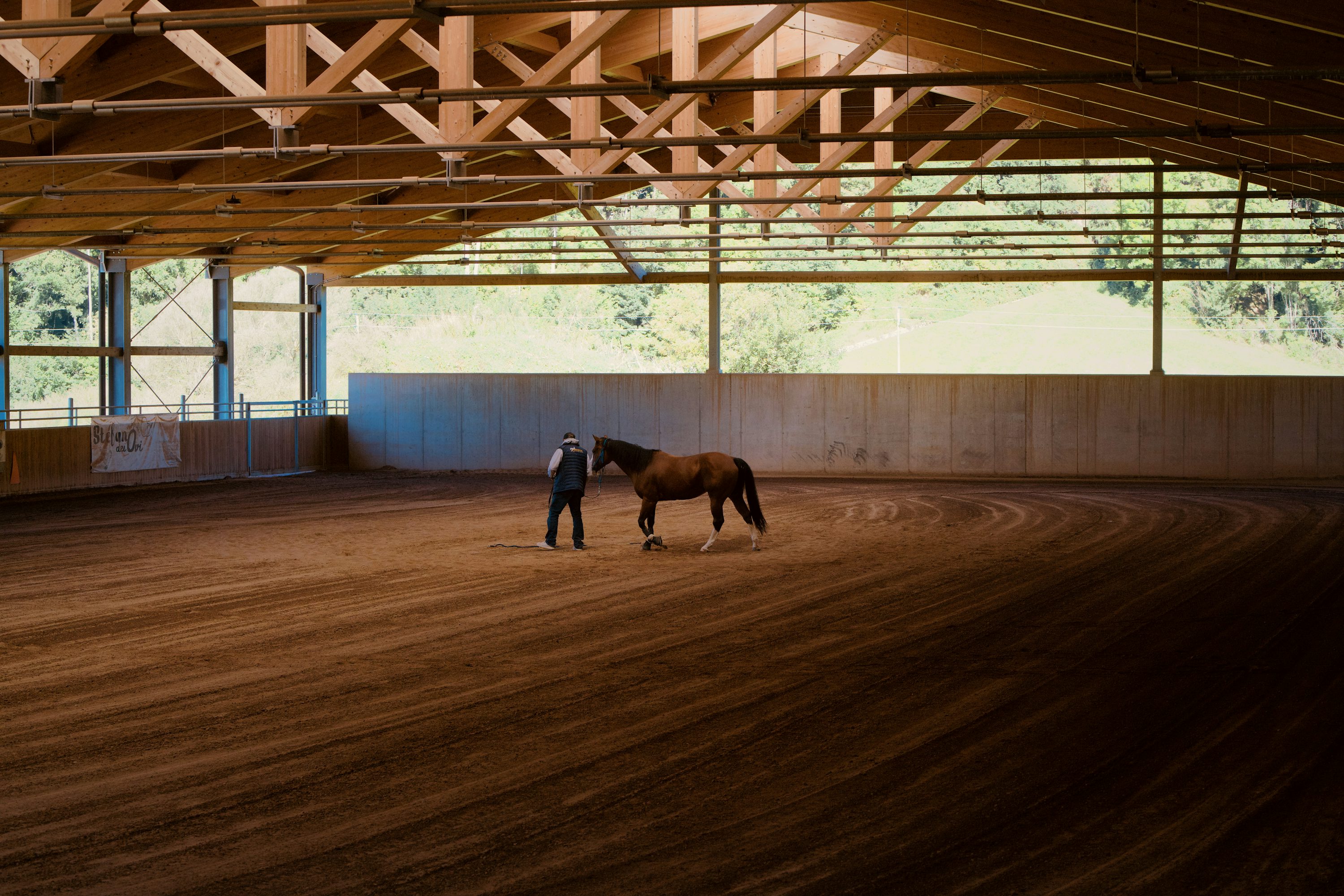 Dressage Arena Footing real arena context